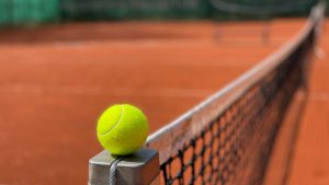 Alcaraz : sur quelle chaîne et à quelle heure voir le match de Roland Garros en night session ?