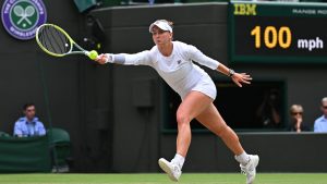 suivez la finale dames Krejcikova-Paolini en live