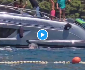 Insolite > Pour fêter l&rsquo;or olympique, Novak Djokovic s&rsquo;autorise tout, même l&rsquo;alcool !