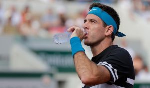 Djokovic sur Del Potro: « Je l’aime » 