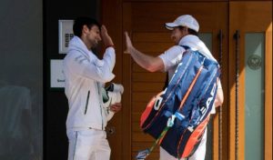  » Murray est très fort tactiquement et cela peut aider Djokovic « 