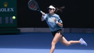 « J&rsquo;étais là, avec ma cheville gonflée »: une star du tennis féminin victime d&rsquo;une attaque de fourmis à l&rsquo;Open d&rsquo;Australie