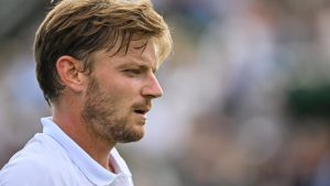 David Goffin coince lors du premier tour de l’ATP de Winston Salem