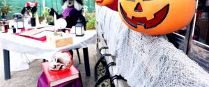 Castelginest. Le tournoi Halloween du tennis est de retour