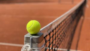 Mpetschi Perricard – Djokovic : comment regarder gratuitement le match de Night Session de Roland Garros en direct ce dimanche ?