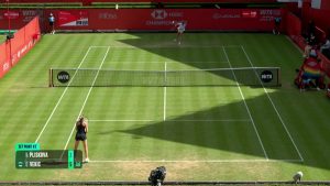 Vekic rejoint le dernier carré